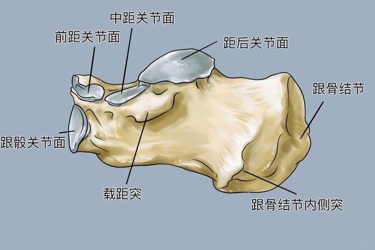 跟队：斯凯利社区盾决赛后与球迷庆祝，他想留在阿森纳
