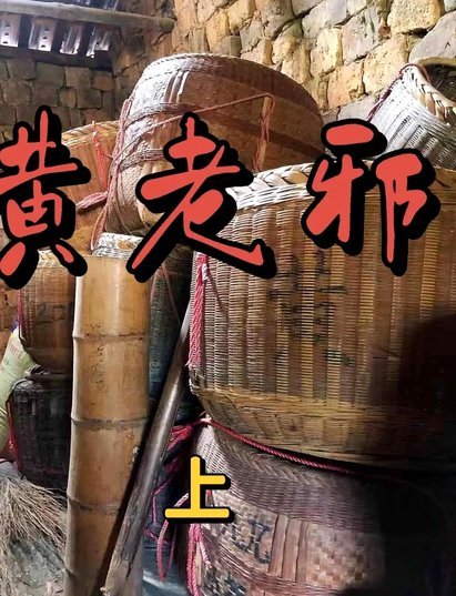 黄老邪你在搞什么鬼！