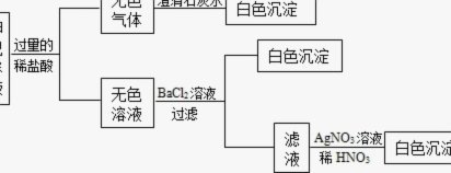 刘凯源出战U19二级并非跨级，不踢才是真掉队